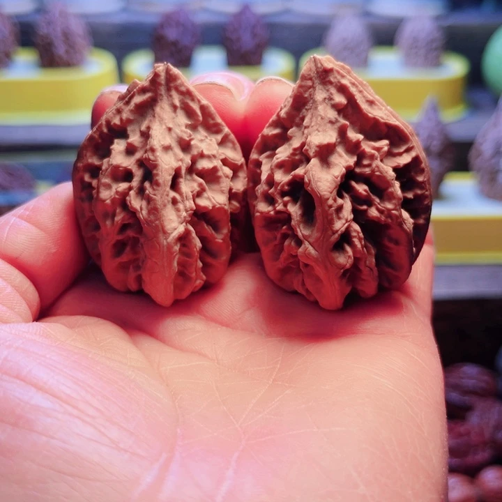 核桃5号车放漏漏漏漏