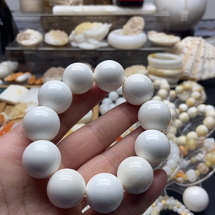 非金属贝壳全白通货2.0单圈