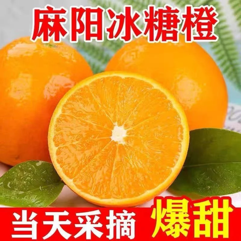 （坏果包赔）湖南麻阳冰糖橙 新鲜采摘新鲜水果超甜 5斤