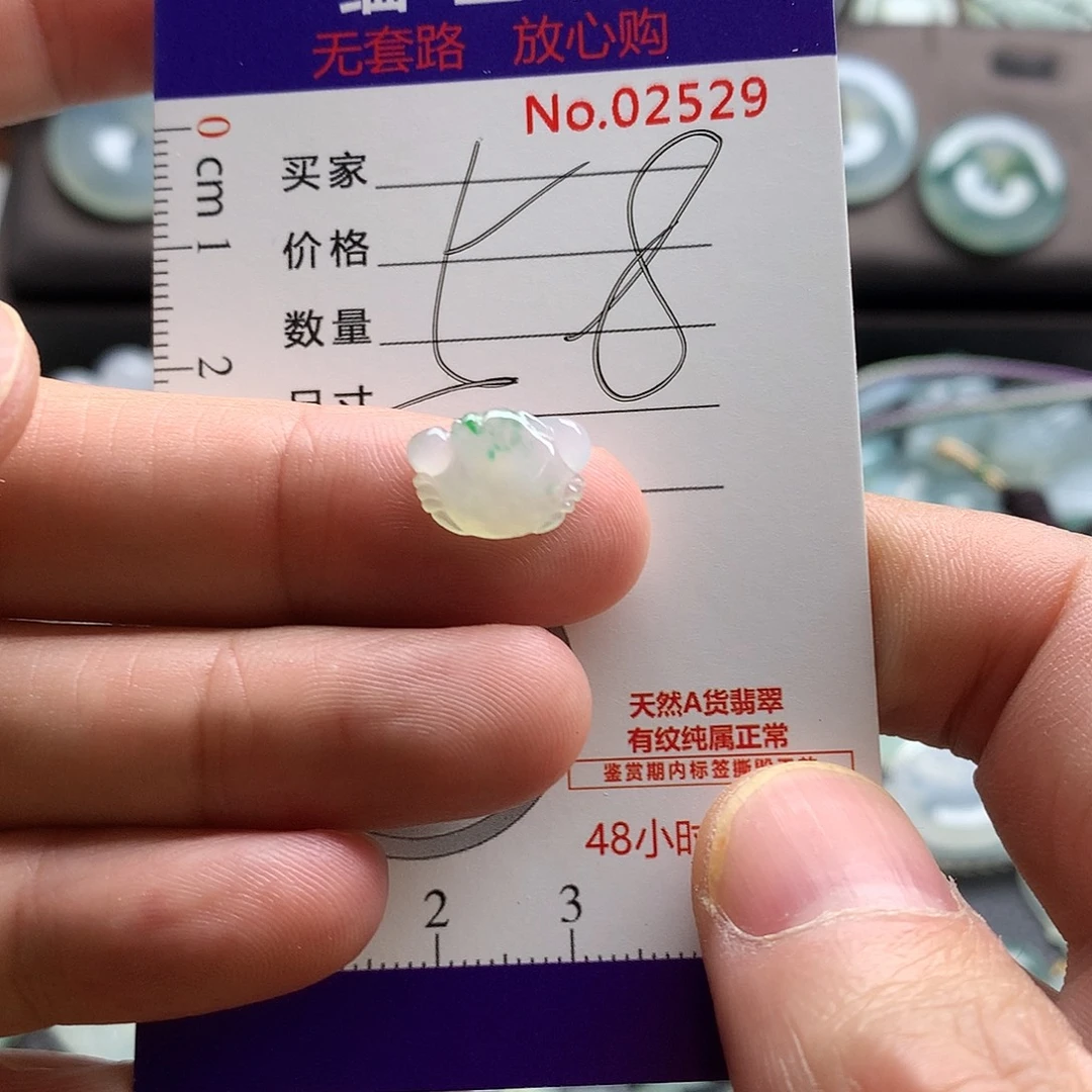 翡翠未镶嵌颈饰吊坠