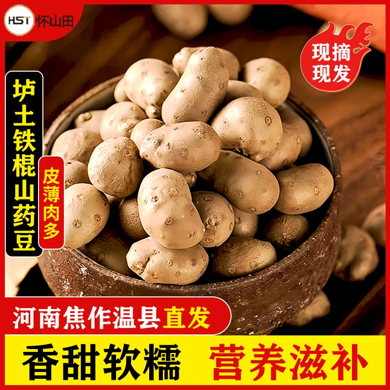 怀山田河南焦作温县正宗垆土地铁棍山药豆2024新鲜净重5斤