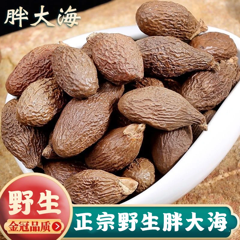 胖大海正品胖大海茶泡水喝精选胖大海麦冬搭配茶叶专用菊花金银花