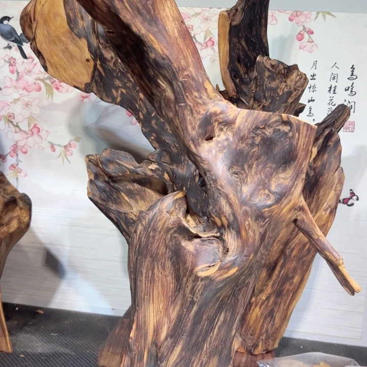 只***占木直播间一物一拍
