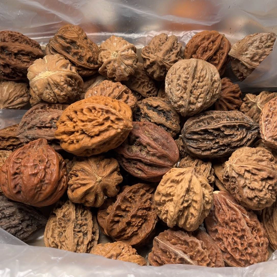 手串文玩核桃核桃59