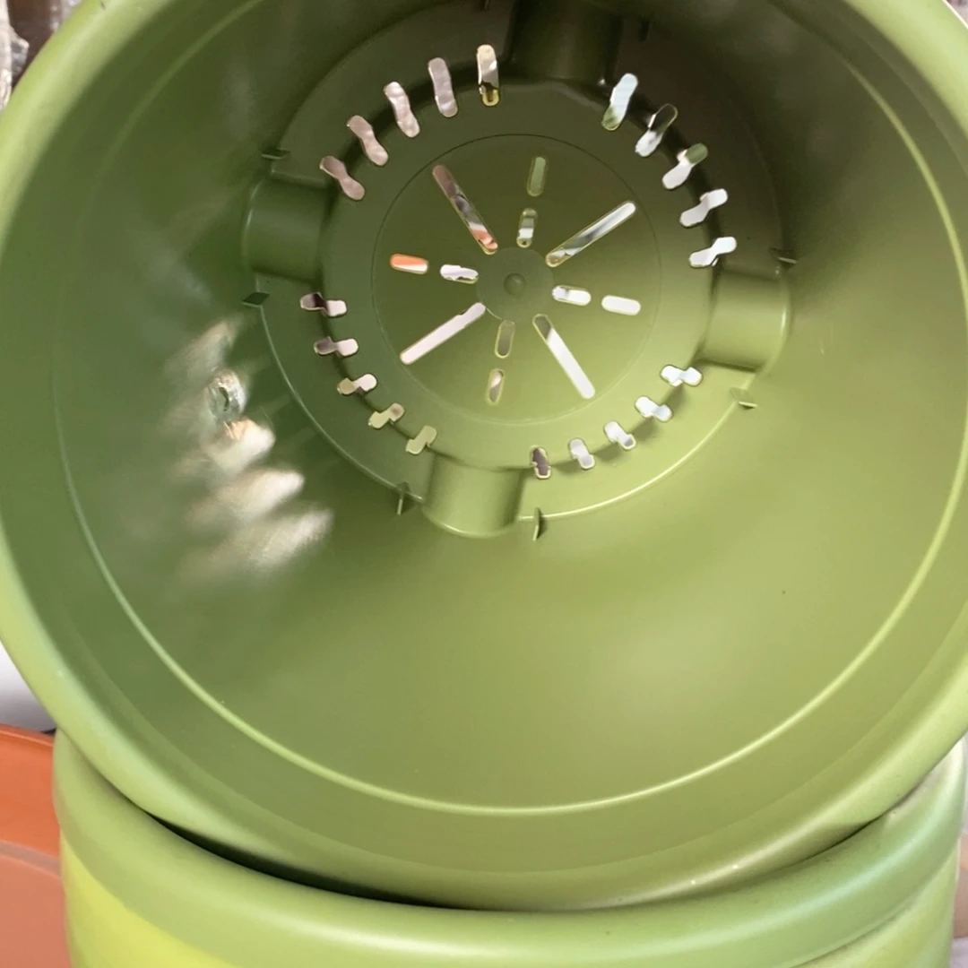 10个25口果绿瑕疵无托伊特