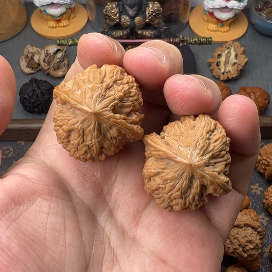 36平谷火麒麟（蛮王）全品