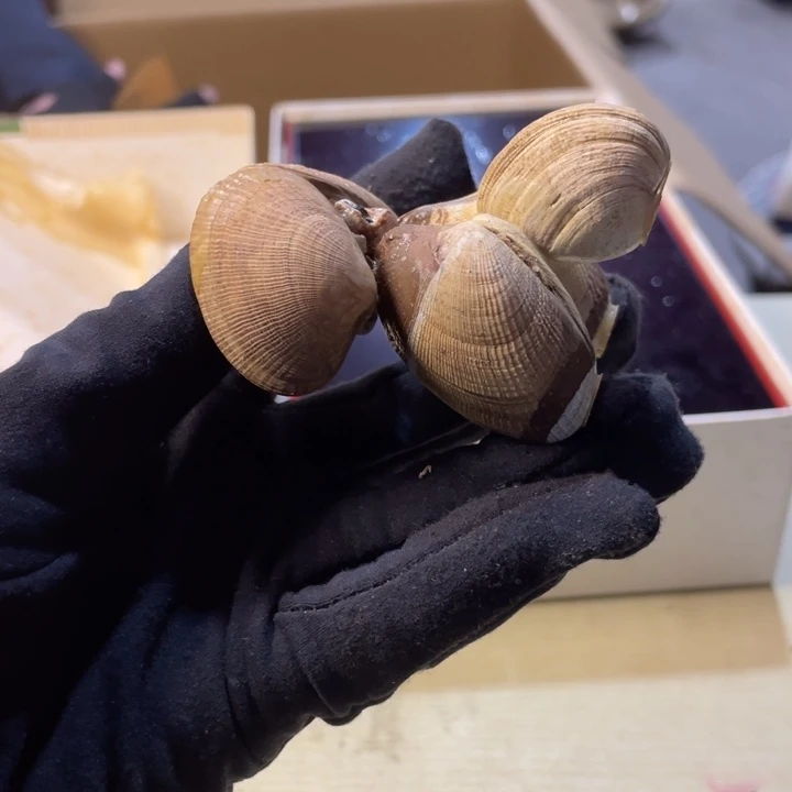 叮**院新年快乐万事大吉