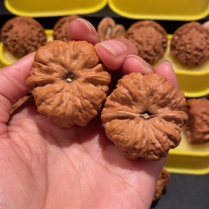 鑫文玩核桃38+尺蛤蟆头