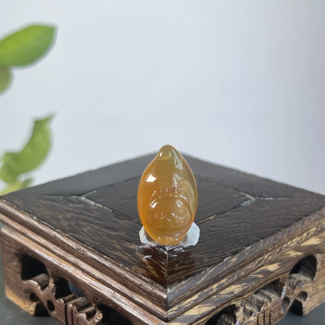 JCW03-04  阿拉善-小猫咪