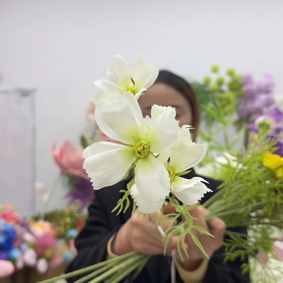 梅***庆小格桑美美满满……