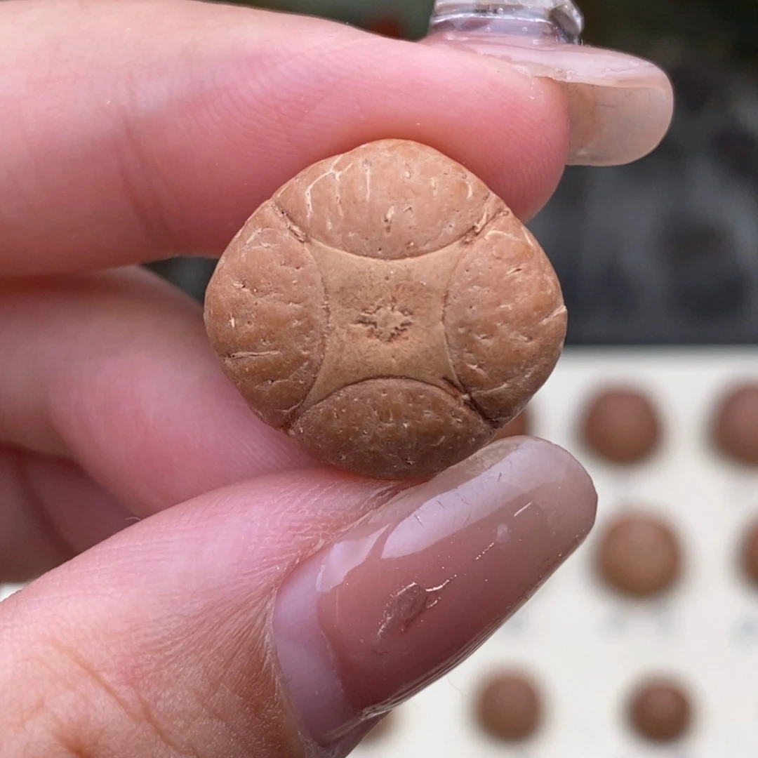 凤眼菩提吊坠麒麟