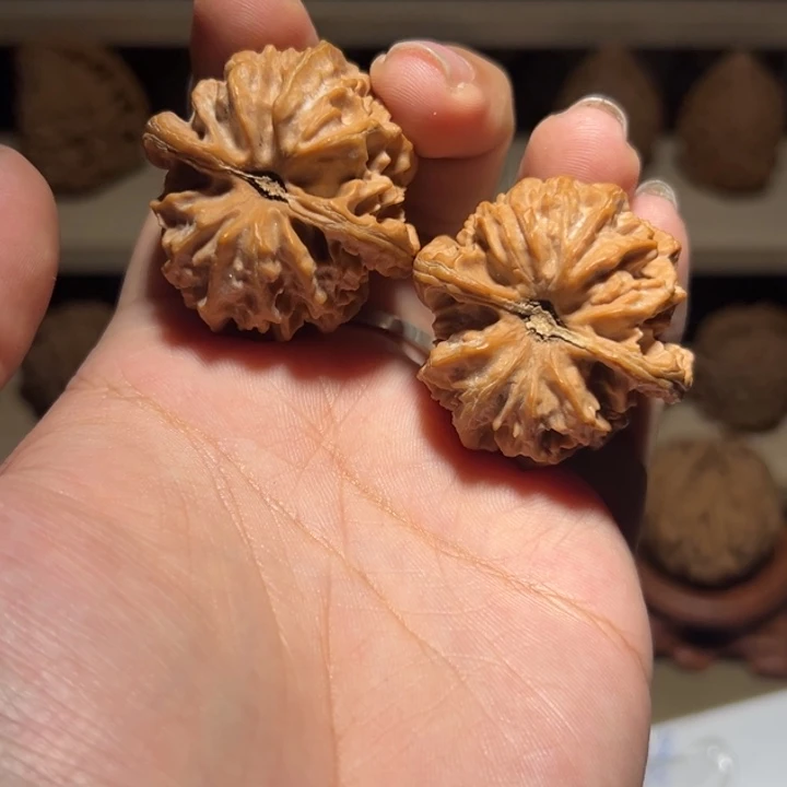 鼻***咸把件文玩核桃大龙