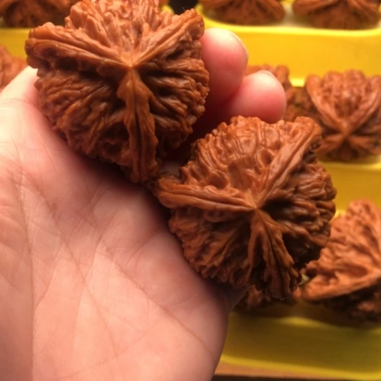 C***4核桃核桃核桃核桃