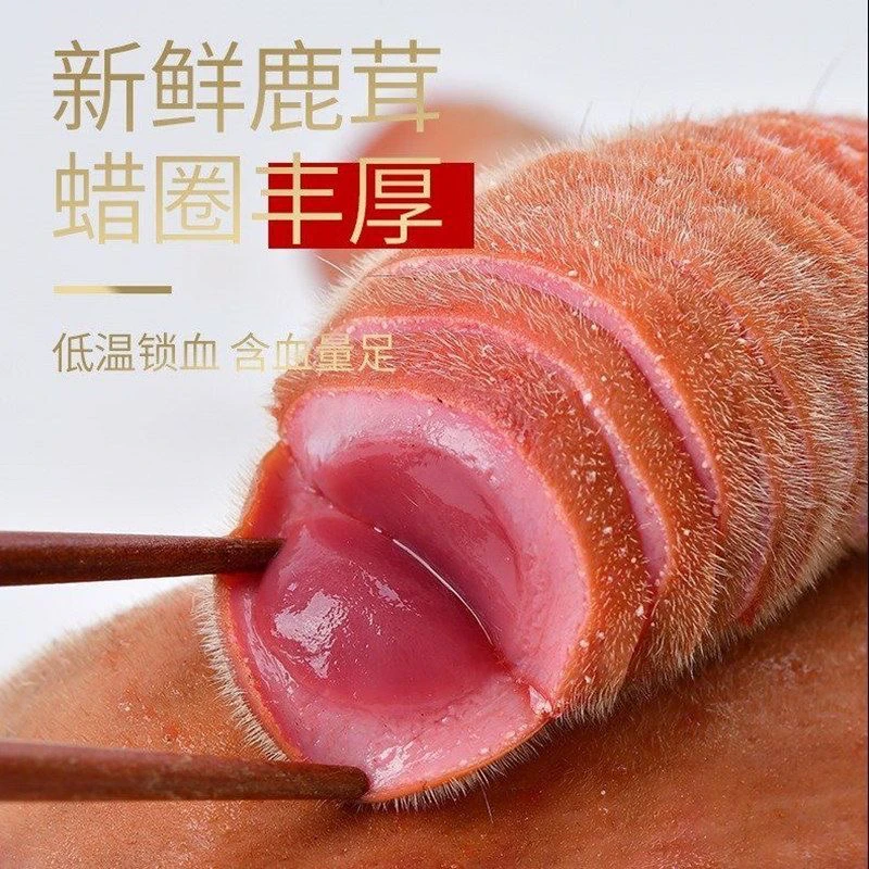 吉林新鲜鹿茸 鹿茸头茬  泡酒煲汤滋补食材