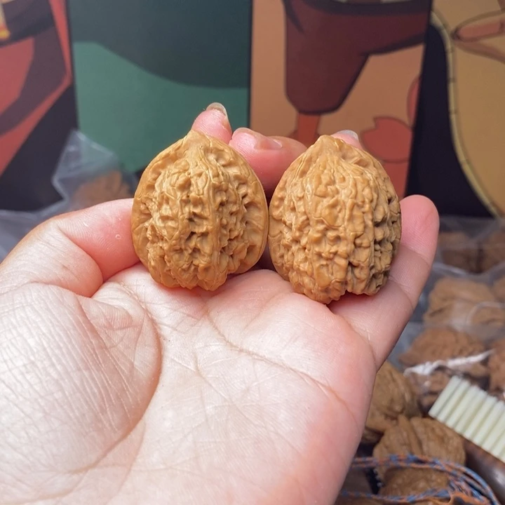 核桃手串/手链不认识品种