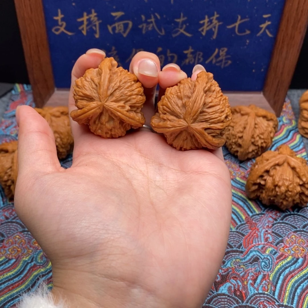 【闪购商品】刚*白狮