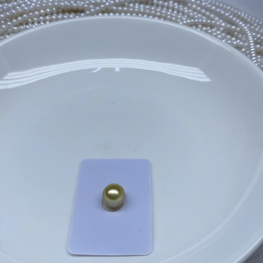 颈饰未镶嵌海水珍珠