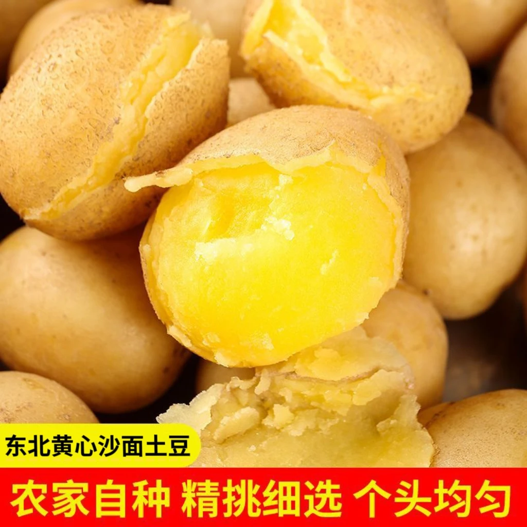 【带箱9.5-10斤】新土豆2025年东北黄心土豆沙糯粉面开花土豆马铃薯