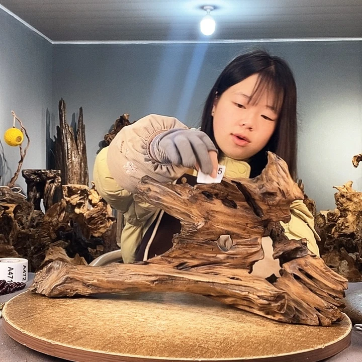 茶盏沧**笑465株木随行的小根艺