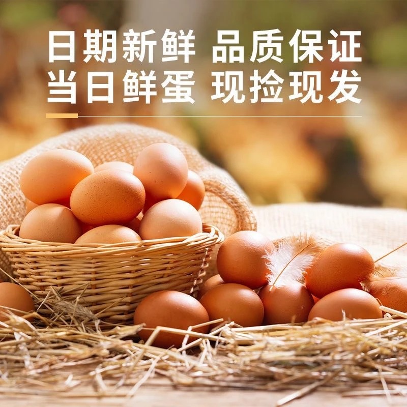 【京东】柴鸡蛋农家散养土鸡蛋 早餐土鸡蛋10枚鸡蛋尝鲜装