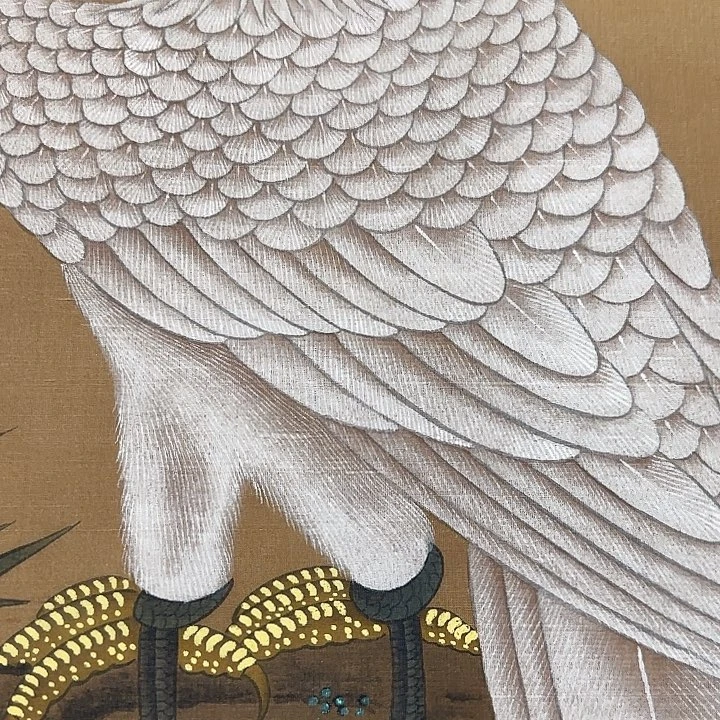 绘画过**客花鸟作品，精品挂画