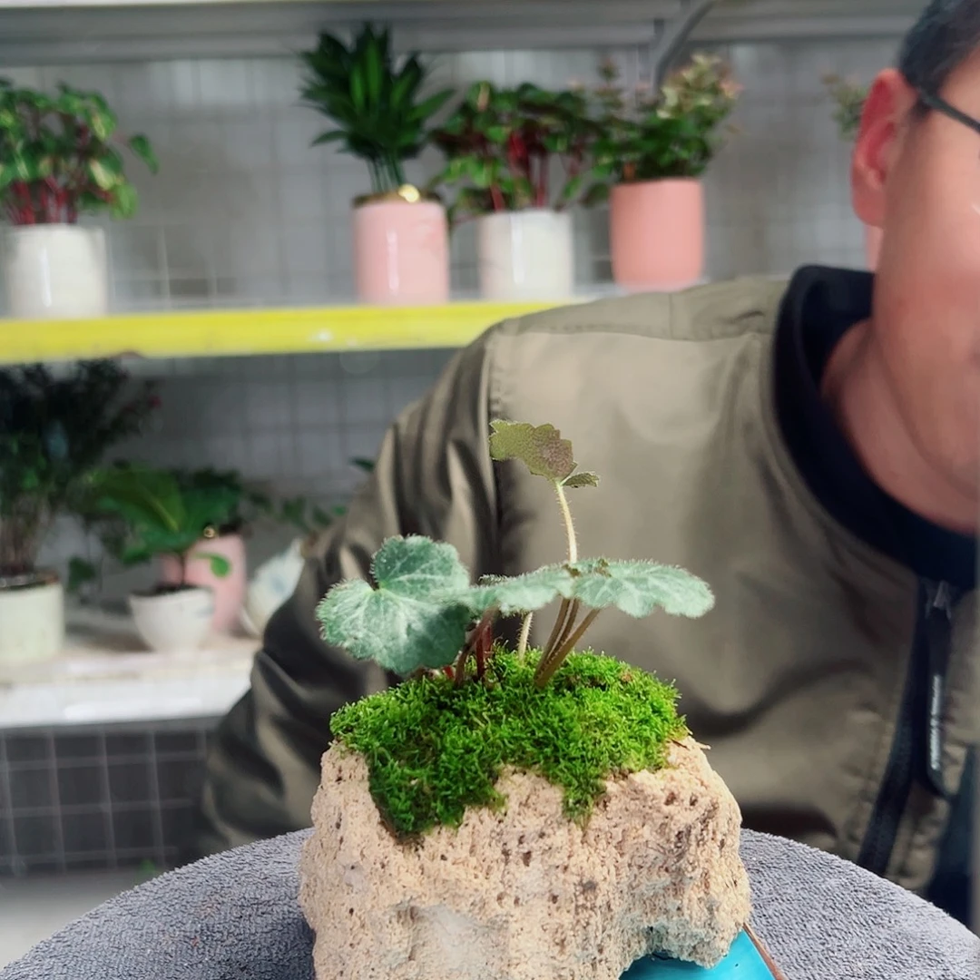 嘟***爸无花朵28