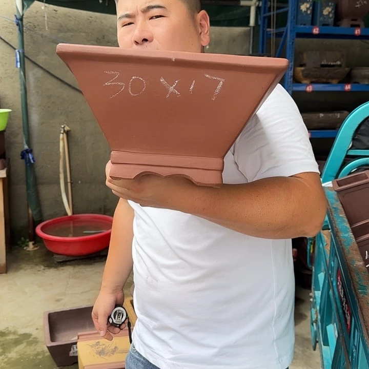紫砂花盆这是我第一
