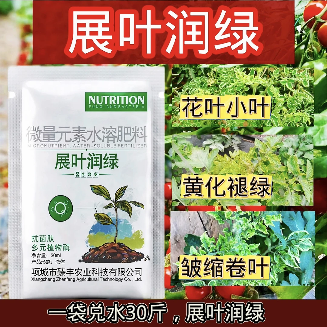 展叶润绿黄化黄叶卷叶小叶黄瓜辣椒番茄西红柿蔬菜病毒病专用