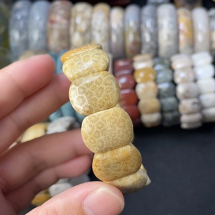 未镶嵌手链硅化珊瑚（珊瑚玉）