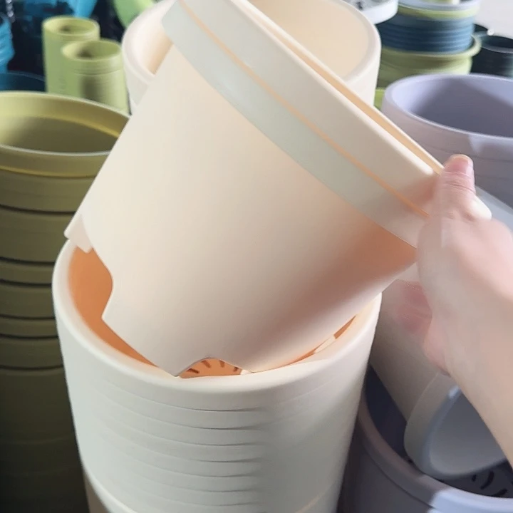 球根26口径6个无托米黄