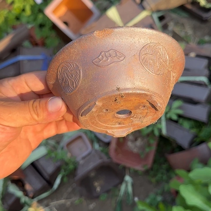 这一期太有意思咯嘛啊