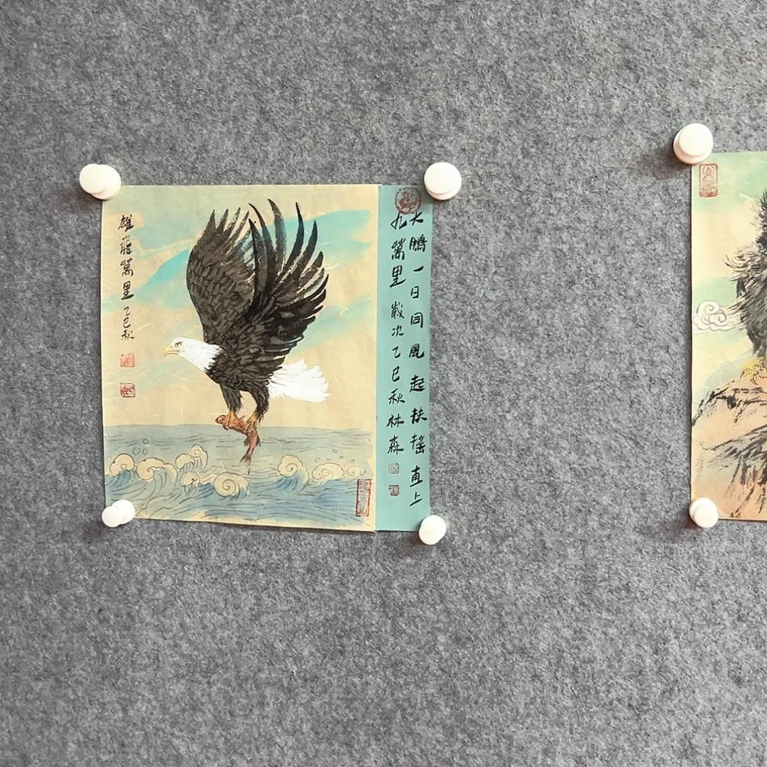 书法林森苍鹰作品