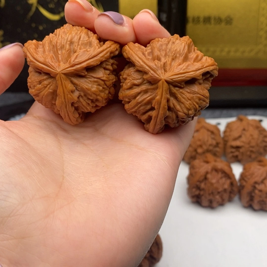 宝***剑白狮子11111111