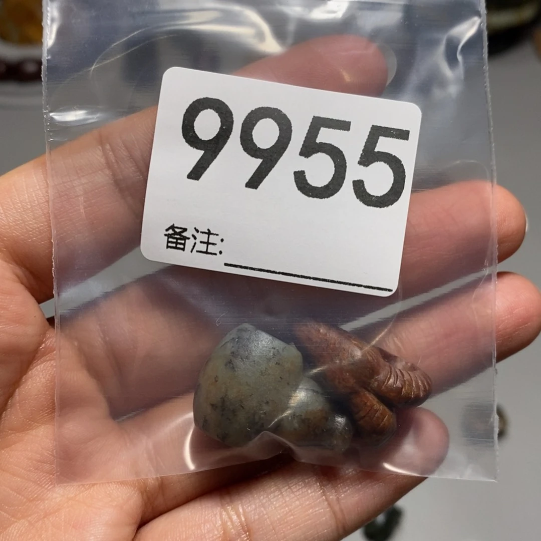 颈饰未镶嵌岫岩河磨玉（透闪石质玉）小*螺