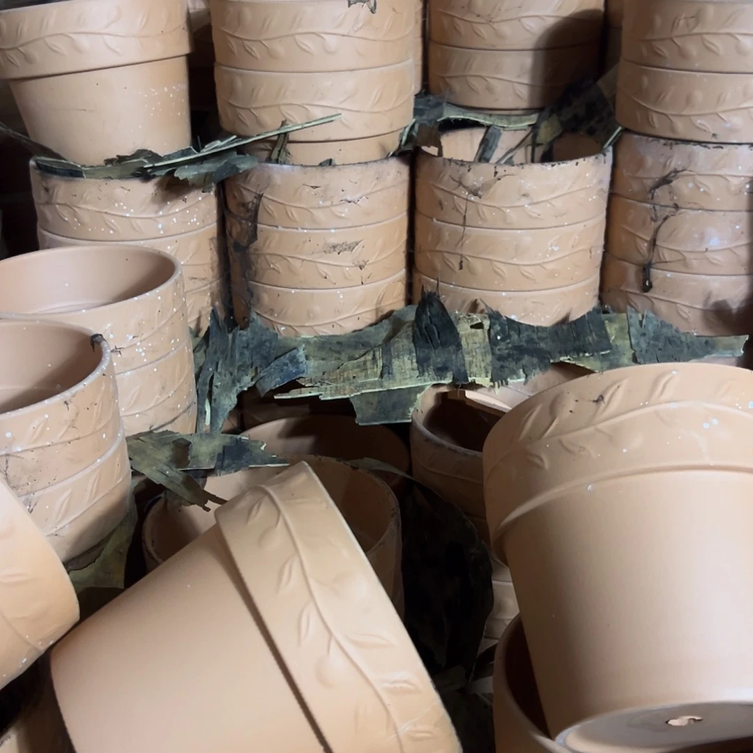 泡水橄榄16口14高1个【泡水瑕疵无售后】