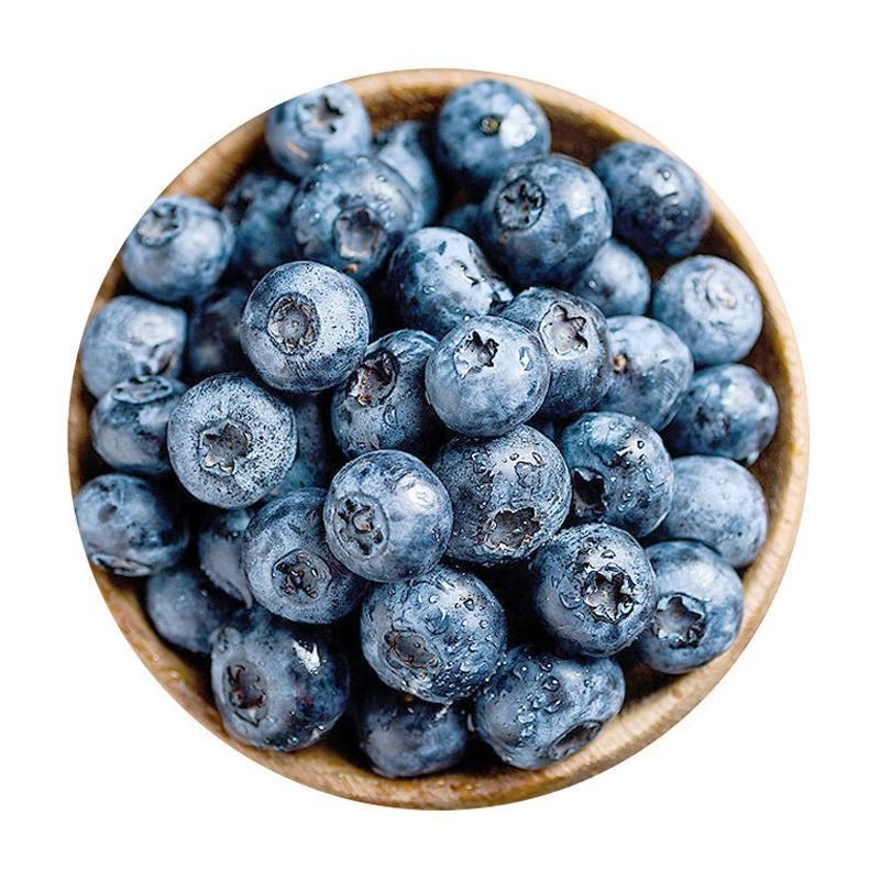 小树苗蓝莓125g/盒