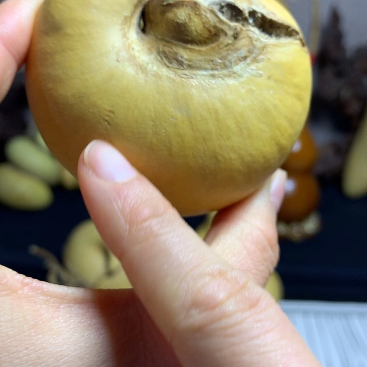 三****葫芦葫芦真的好可爱啊