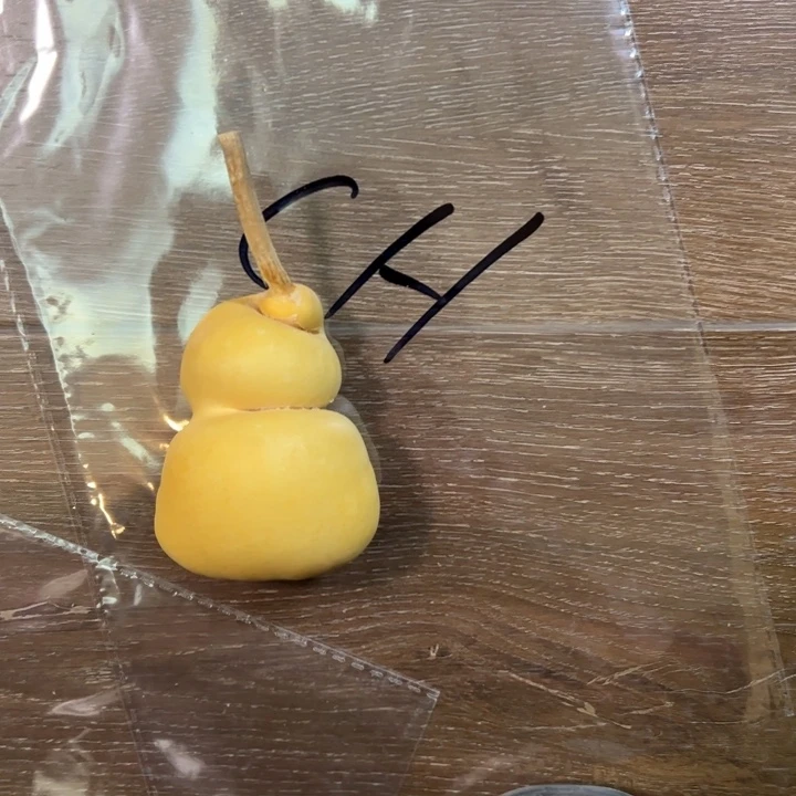 C****.葫芦葫芦娃娃娃娃娃