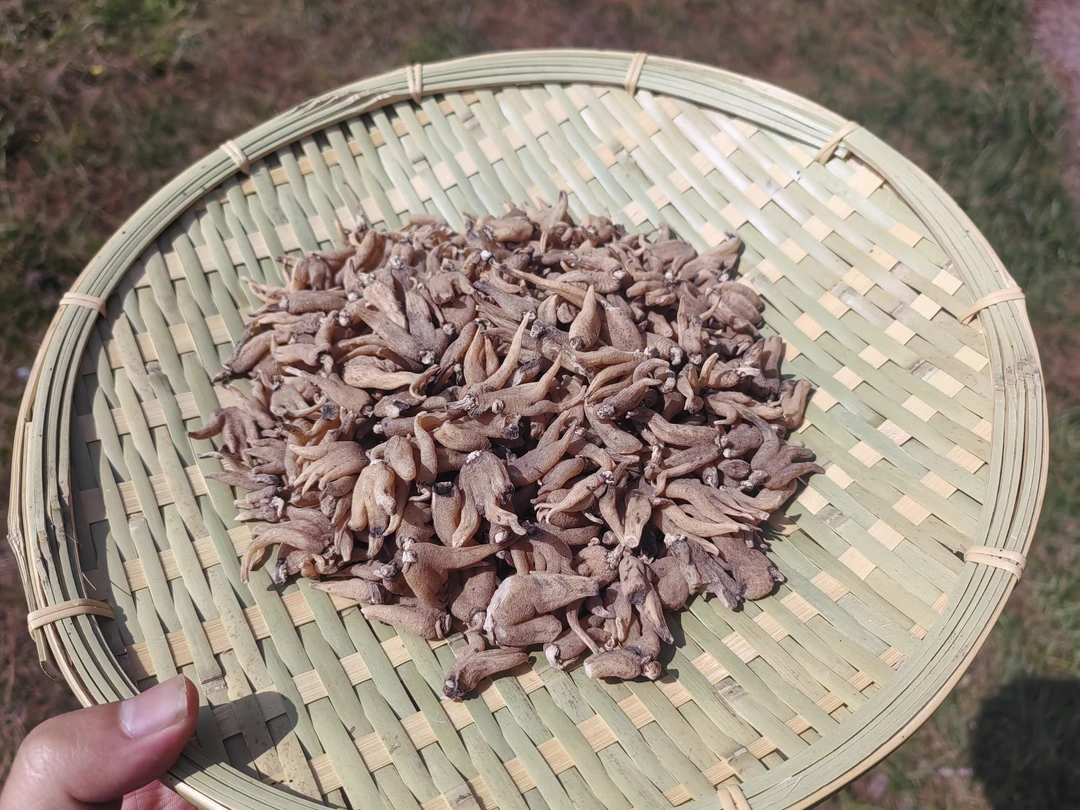 云南农家下山佛手参