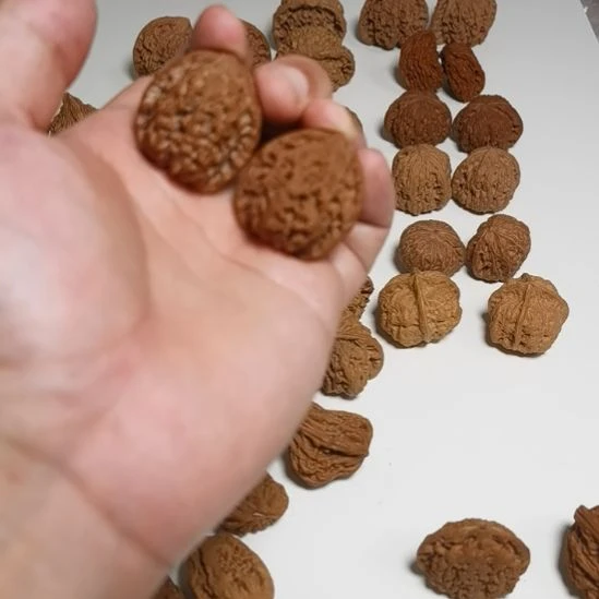 走***你手串/手链核桃核桃核桃核桃核桃