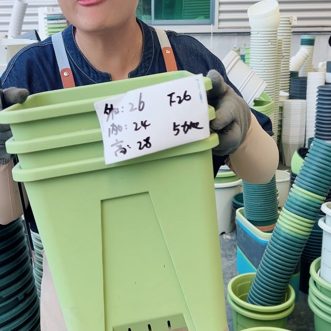 方盆F26#果绿色3个无托