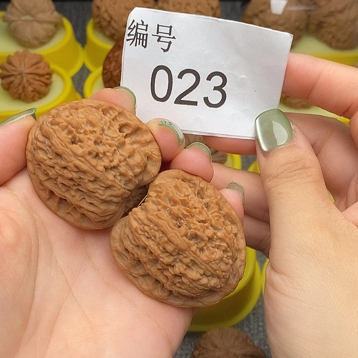 核桃023南疆石40尺