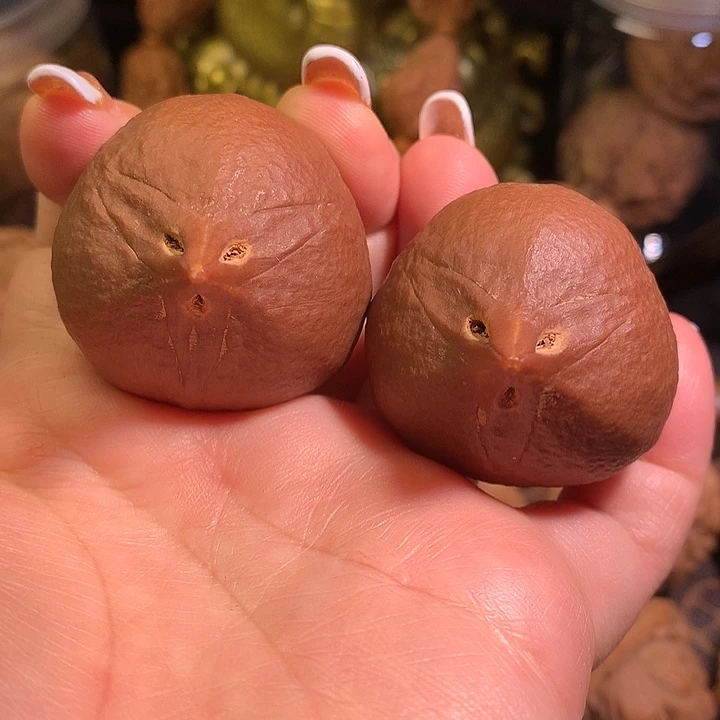 吊坠文玩核桃鹰嘴大橄榄