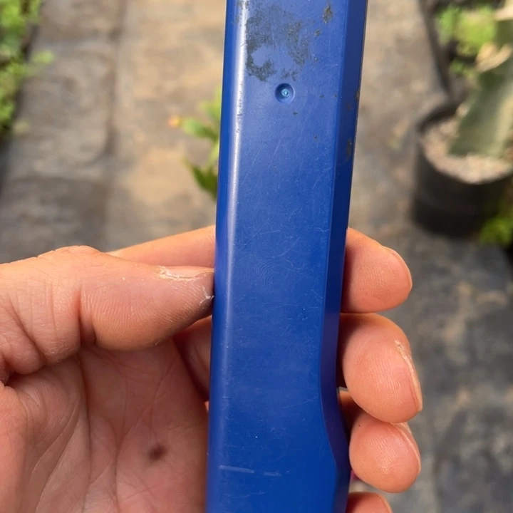 5*蟹爪兰单层架子*2