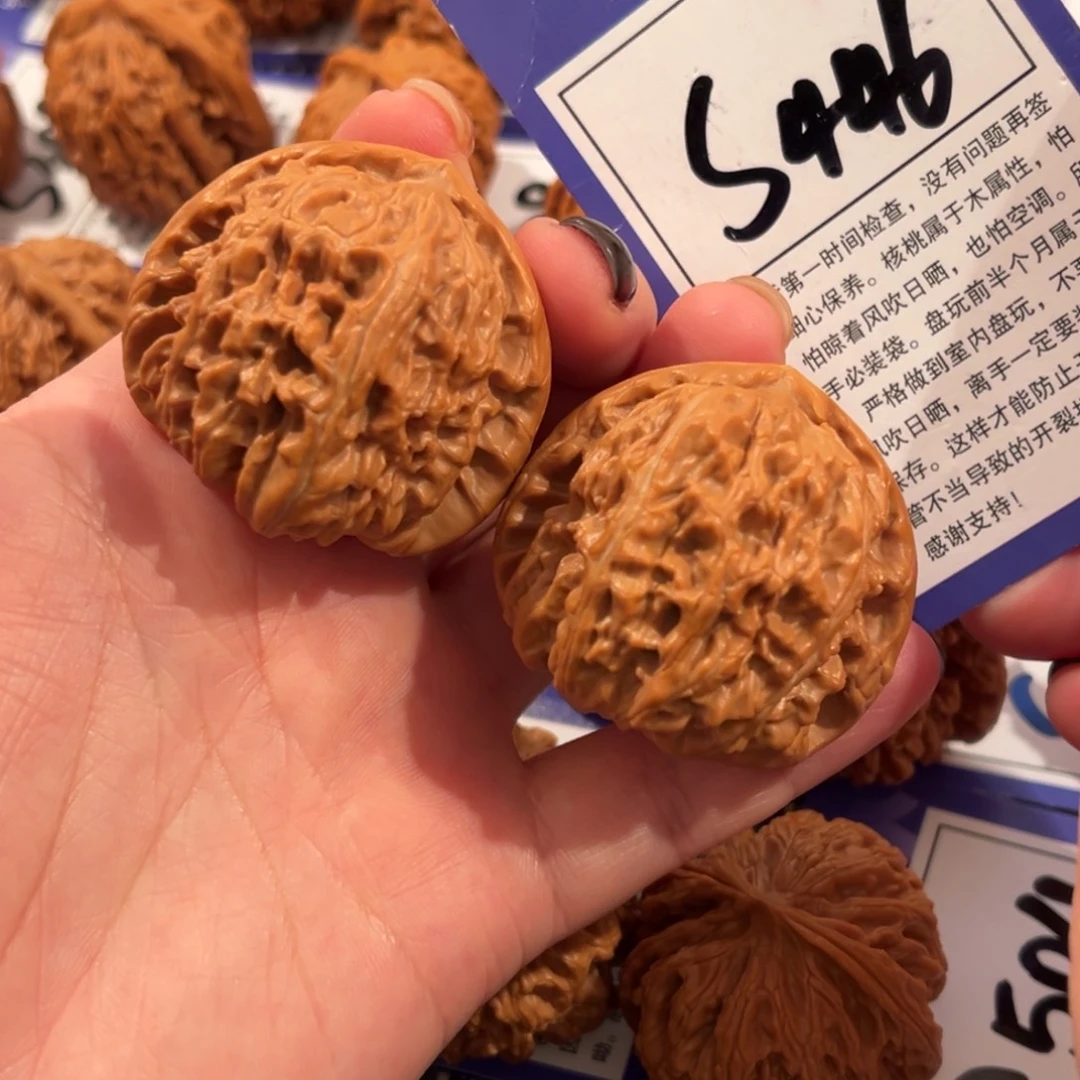 核桃S446号白狮子42尺