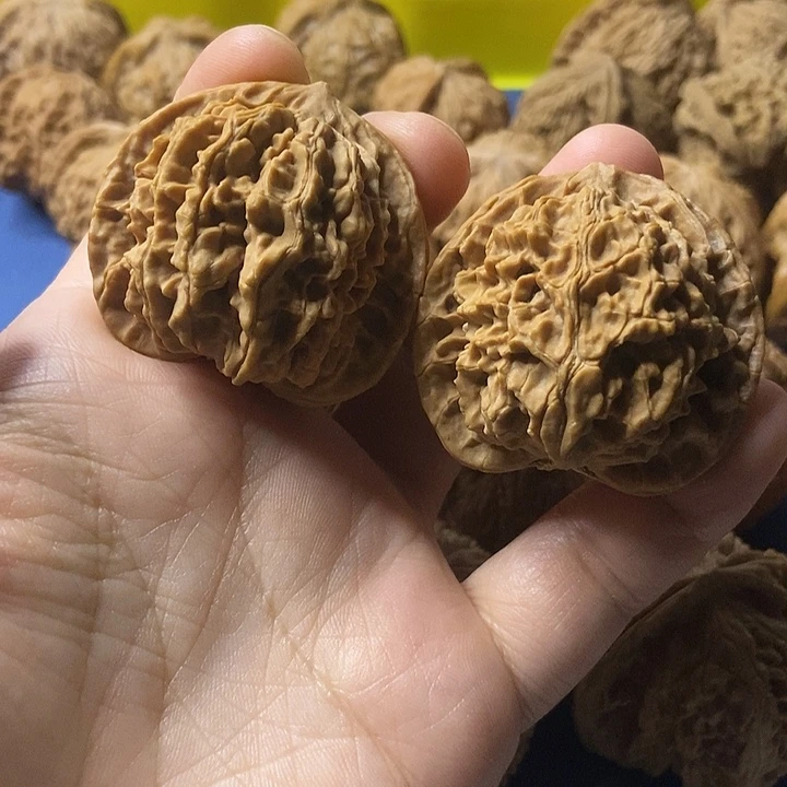 文玩核桃  水龙纹40
