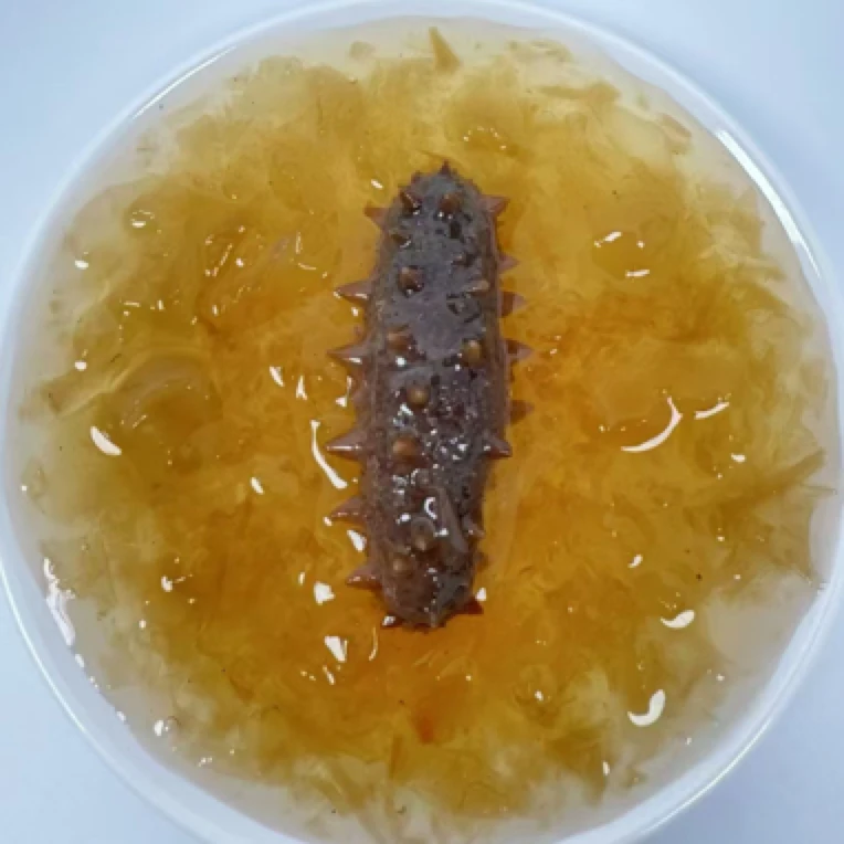 九月印象鲜炖海参海参炖燕窝一盒六瓶（90克/瓶）开盖即食滋补佳品