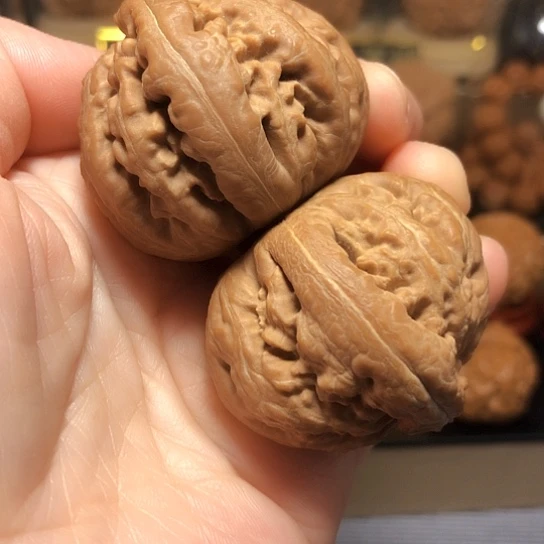 精品：霸王龙全品
