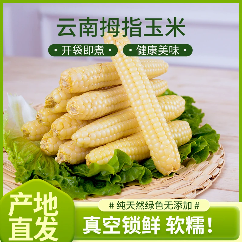 西双版纳拇指玉米精选特大A果宝宝小玉米甜糯手指玉米