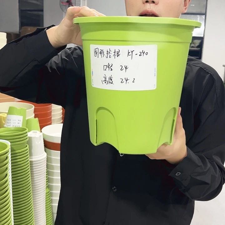 正品圆控口24高24果绿色8支无托